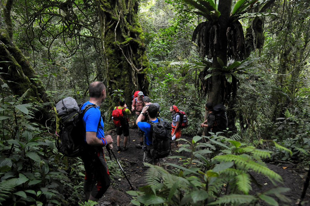 Ujung Kulon Tour