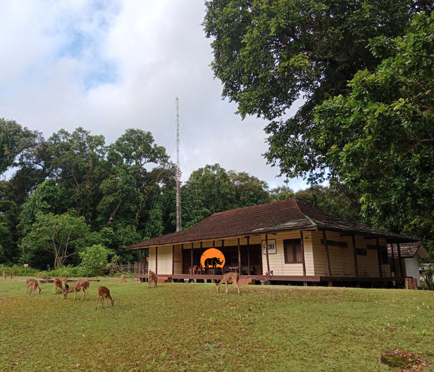 Ujung Kulon Tour