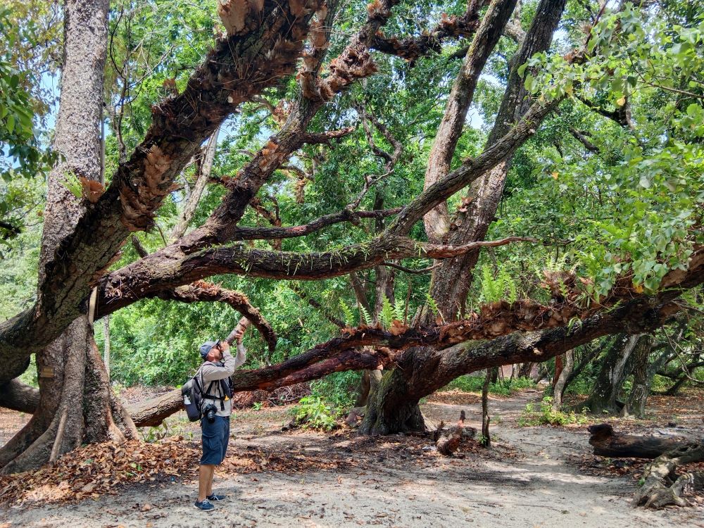 Ujung Kulon Tour